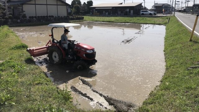 田起こしして水を張った田んぼを荒掻きした話 ななしん米